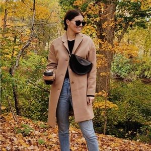 Everlane The Cocoon Wool Camel Coat